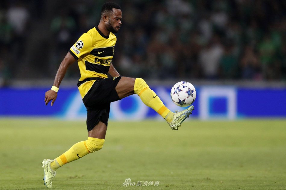 所强调的那 所强调的那